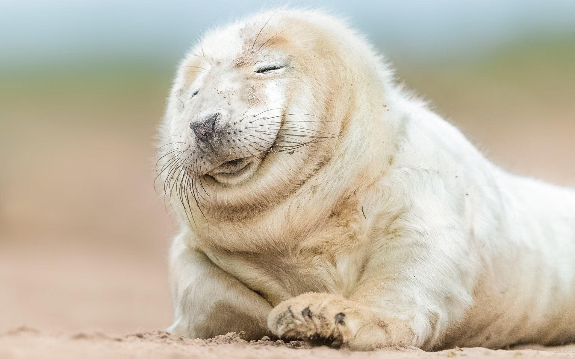 Leyu Sport下载-_圆梦之路：青少年网球比赛的精彩瞬间_，青少年网球视频