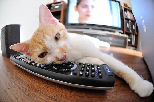 _年度盛宴：世界顶尖选手争夺桂冠，热血开启！_，世界顶级选手