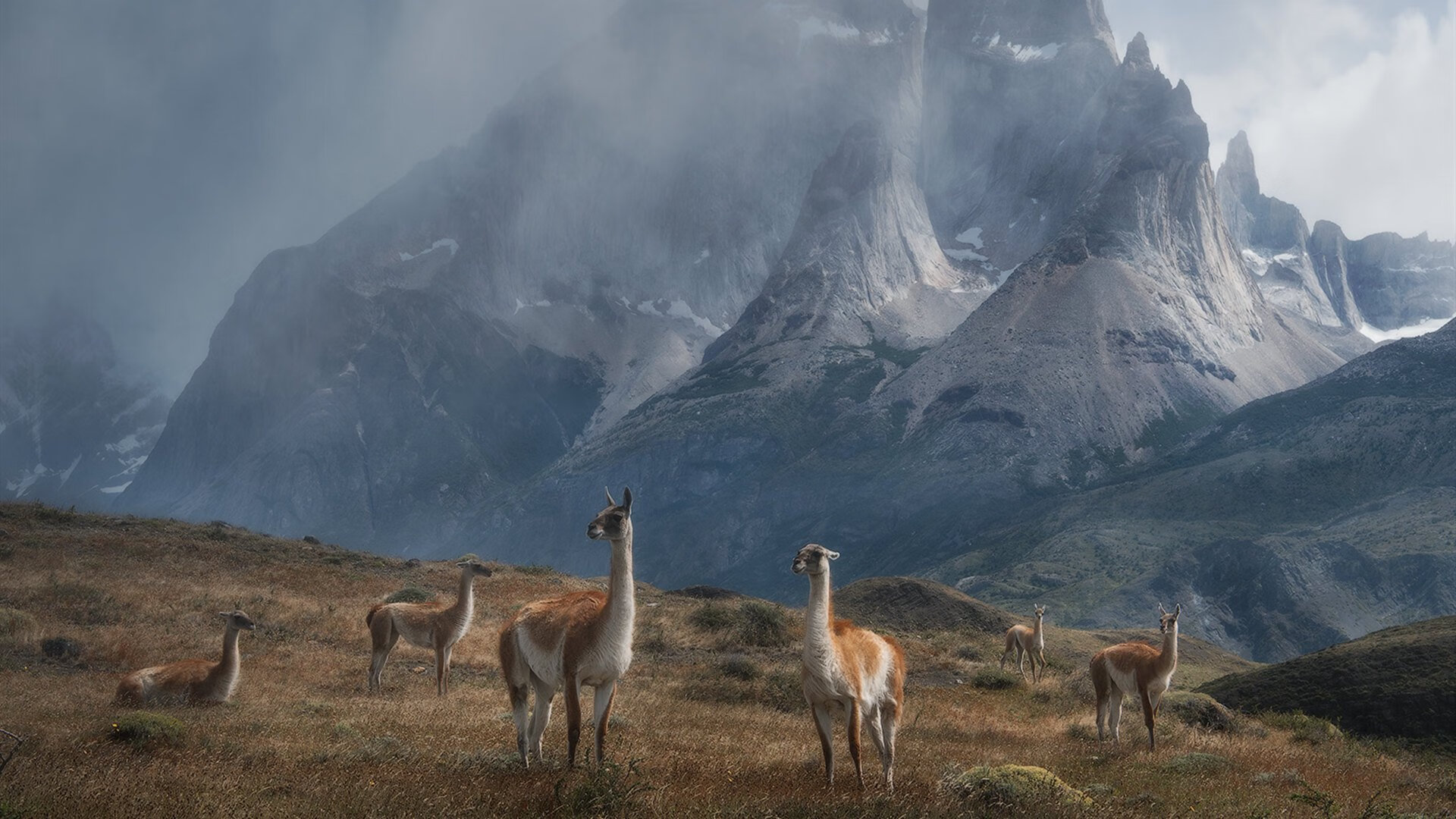 乐鱼体育(中国)官方网站-“技术花式：联盟炫技球员的奇招绝技”，炫技时刻