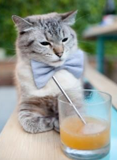 leyu乐鱼体育综合-中国篮球明星参与公益活动，彰显社会责任，篮球体育明星中国