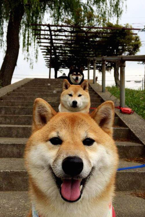 融合多元文化打造特色“足球文化节”,加速行业升级,足球文化节绘画