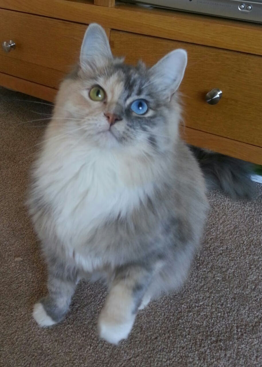 迷你世界全球创意大赛,打造最炫想象力村庄,迷你世界创意玩法