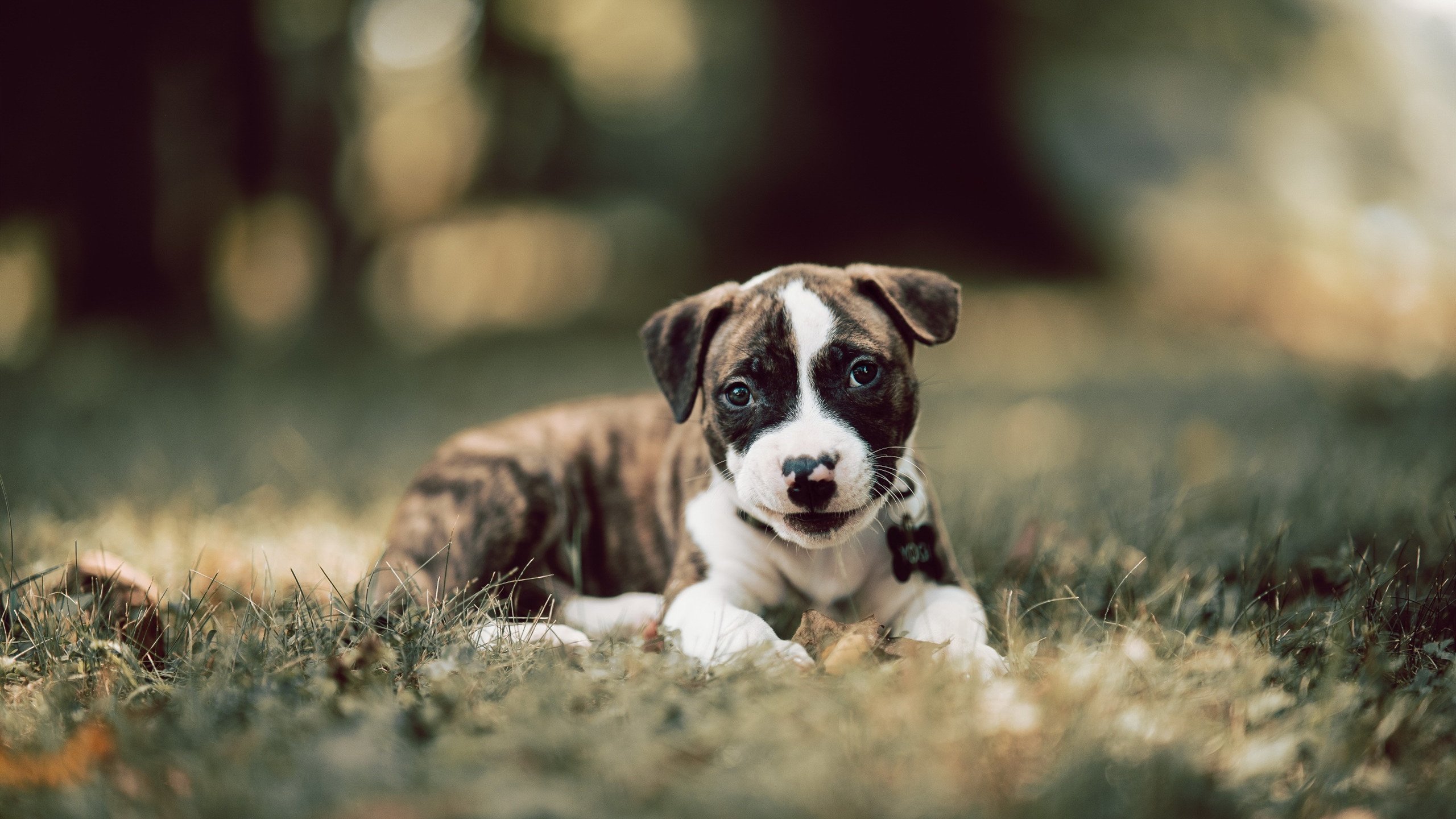 乐鱼（中国）体育官方网站-中国女足世界杯备战，加速冲击世界强队，中国女足世界杯备战,加速冲击世界强队的是谁