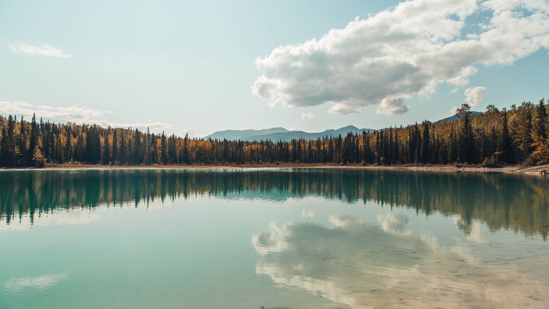 中国女足卫冕世界杯冠军 力争登上巅峰称霸世界,中国女足2021世界杯冠军是真的吗