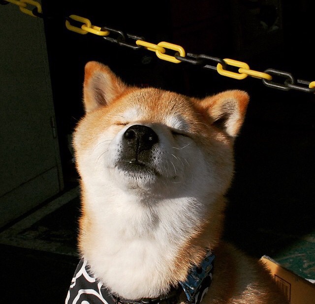 世界巨星将在篮球国际赛事中交锋,篮球国际巨星排名