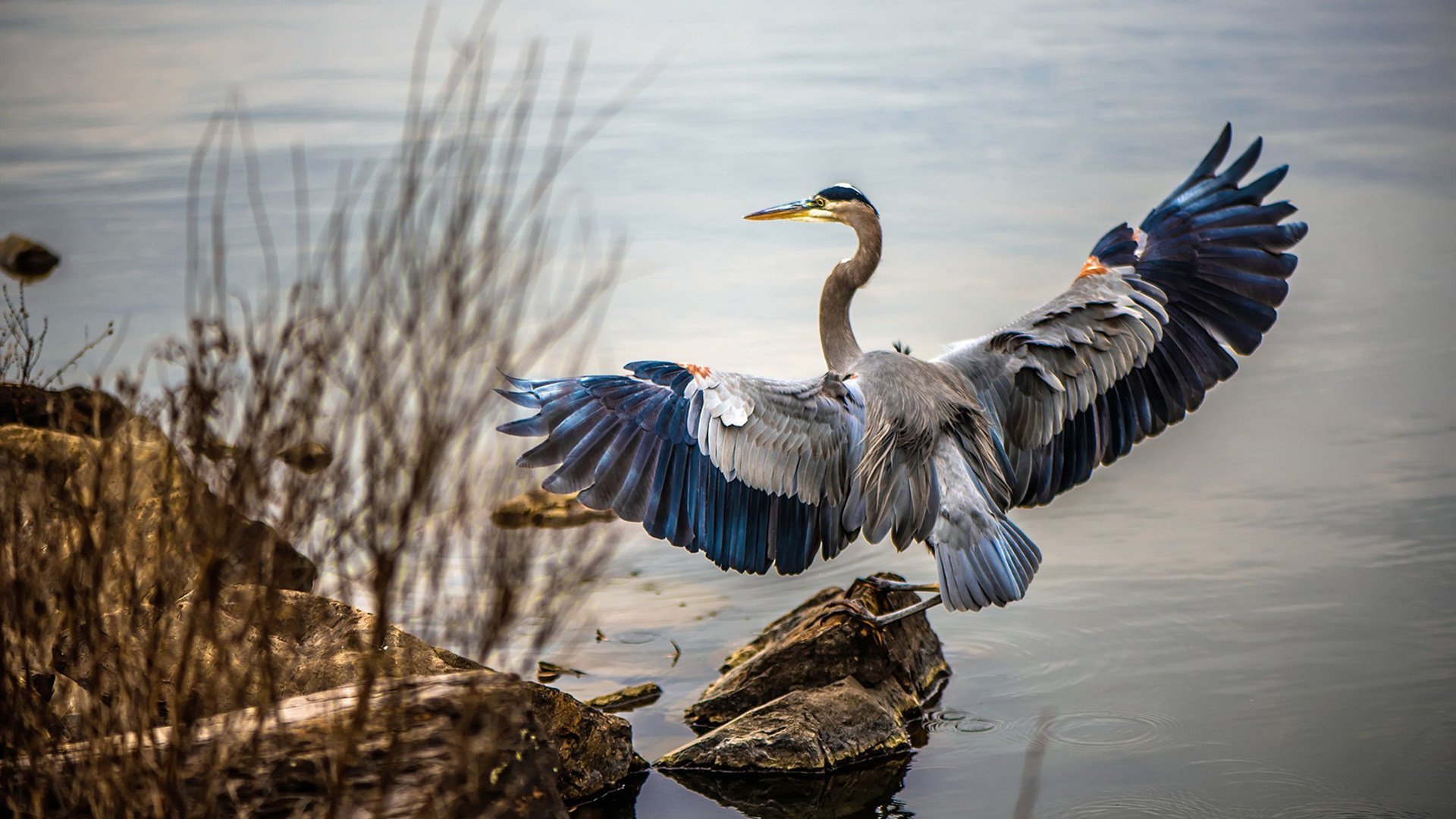 乐鱼电竞在线平台-亲子健身课程开设，促进亲子关系，亲子互动健身