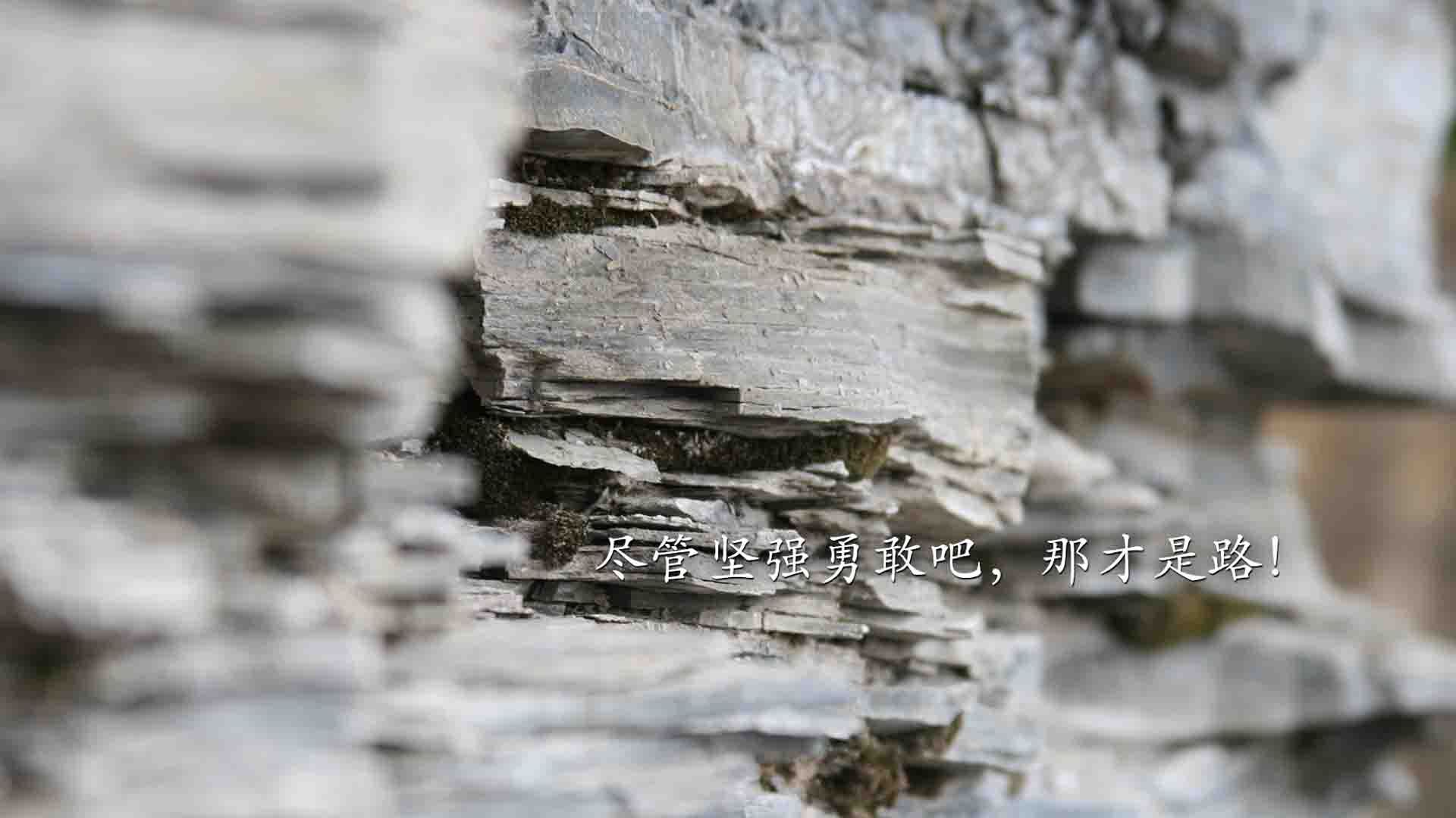 原州东浦新世代替补席深度提升,原州东浦新世代vs高阳猎户座