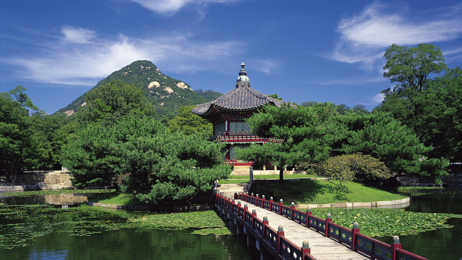 摩纳哥客场逆袭,成功晋级下一轮,摩纳哥官方