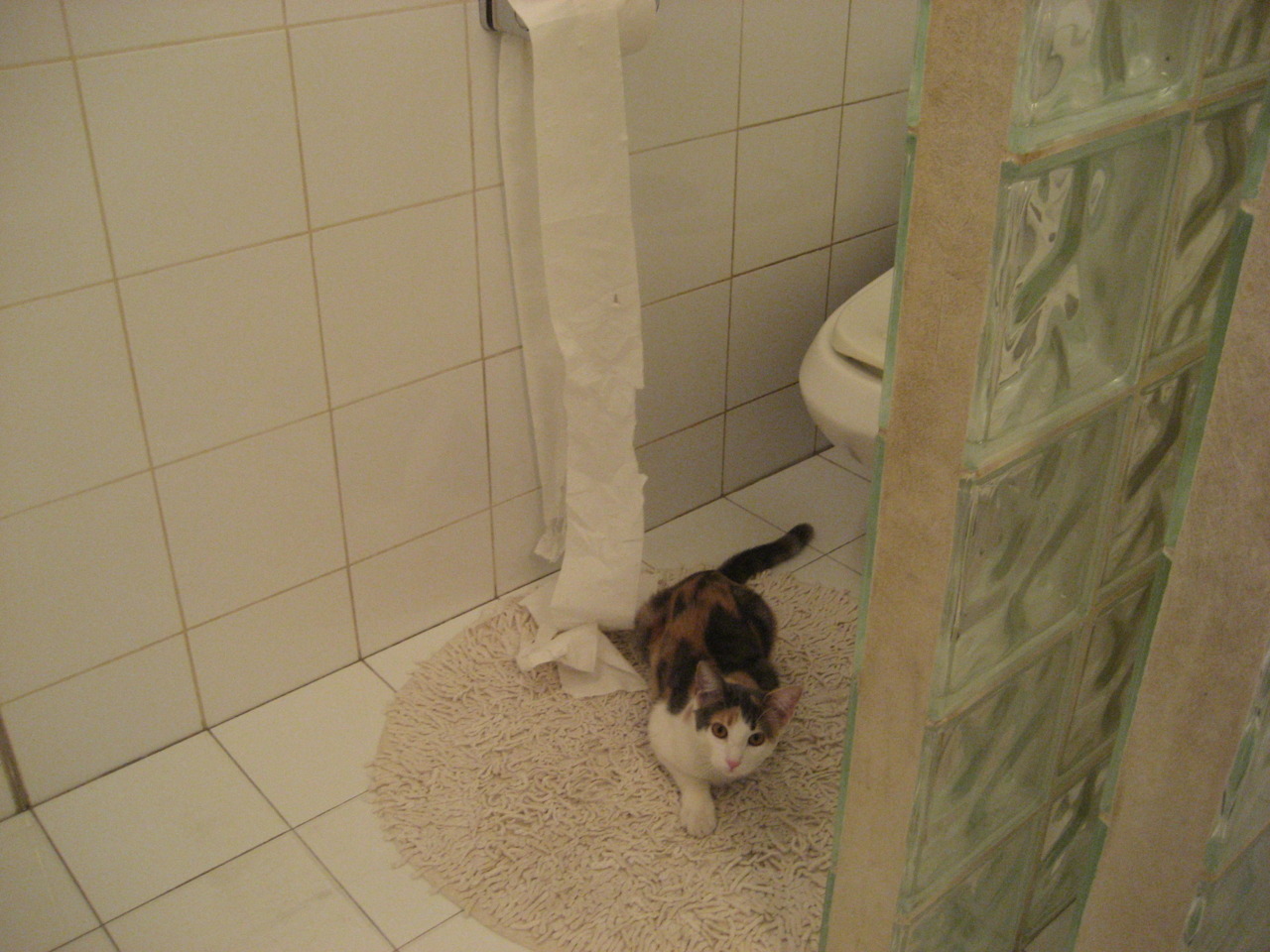 乐鱼（LEYU）体育-普拉提教练薪资水平提升，吸引更多从业者，普拉提教练月薪多少