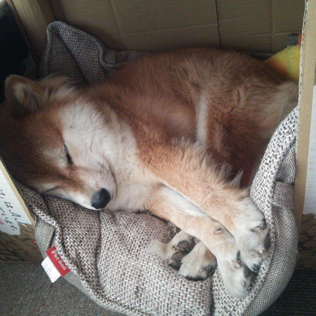 乐鱼体育平台官网-普拉提与功能性训练结合，推出新型课程，普拉提的功能