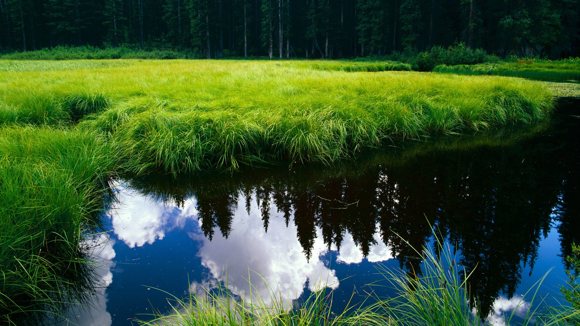 乐鱼体育-法国举办篮球文化节，法国篮球赛制