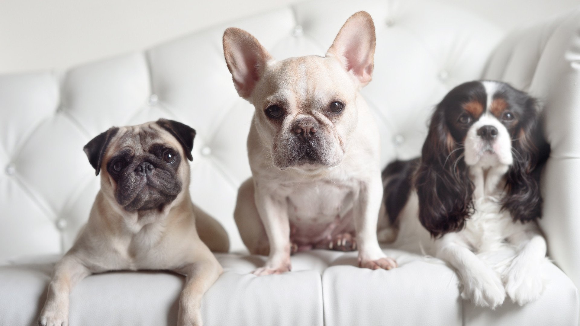 火爆足球比赛中球员传球配合默契,足球传球配合训练视频