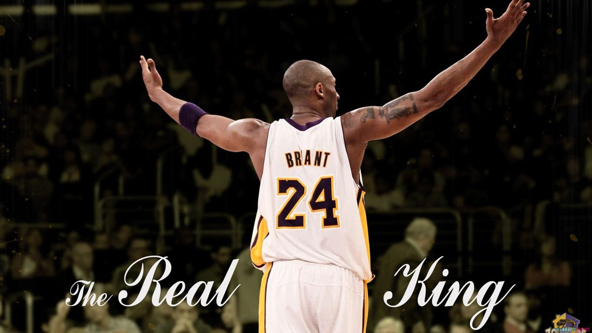 乐鱼电竞在线平台登录入口-热血澎湃的体育竞技，观众欢呼不止，体育竞技霸气口号