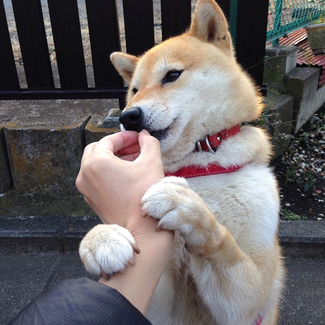 青海男篮翻盘成功,逆风翻盘实现奇迹,青海篮球谁的水平最好