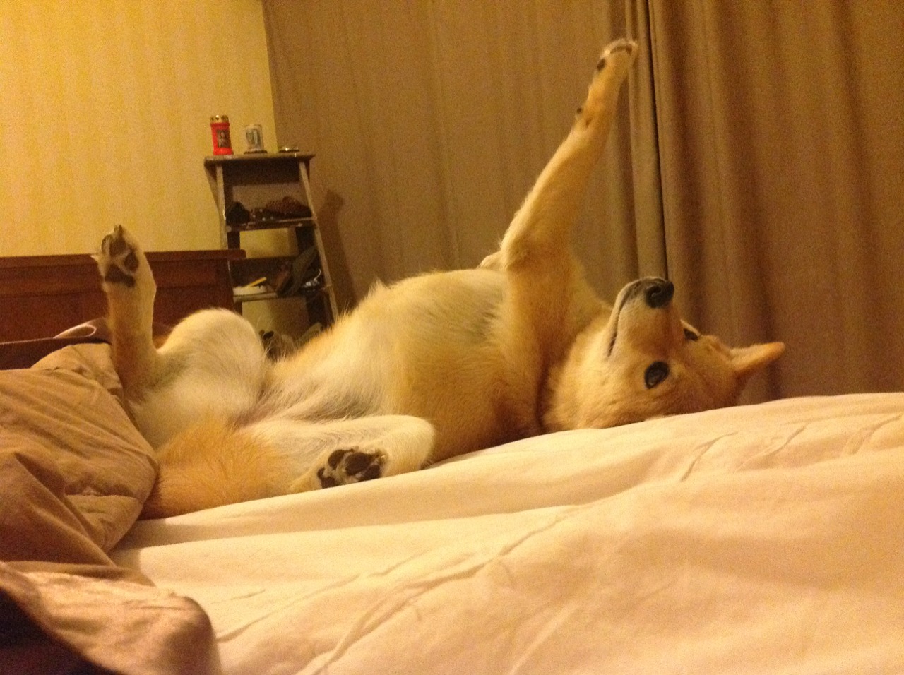 德甲球队通过模拟预测系统预判防守断点区域,德甲预测网址是多少啊b102.c-c