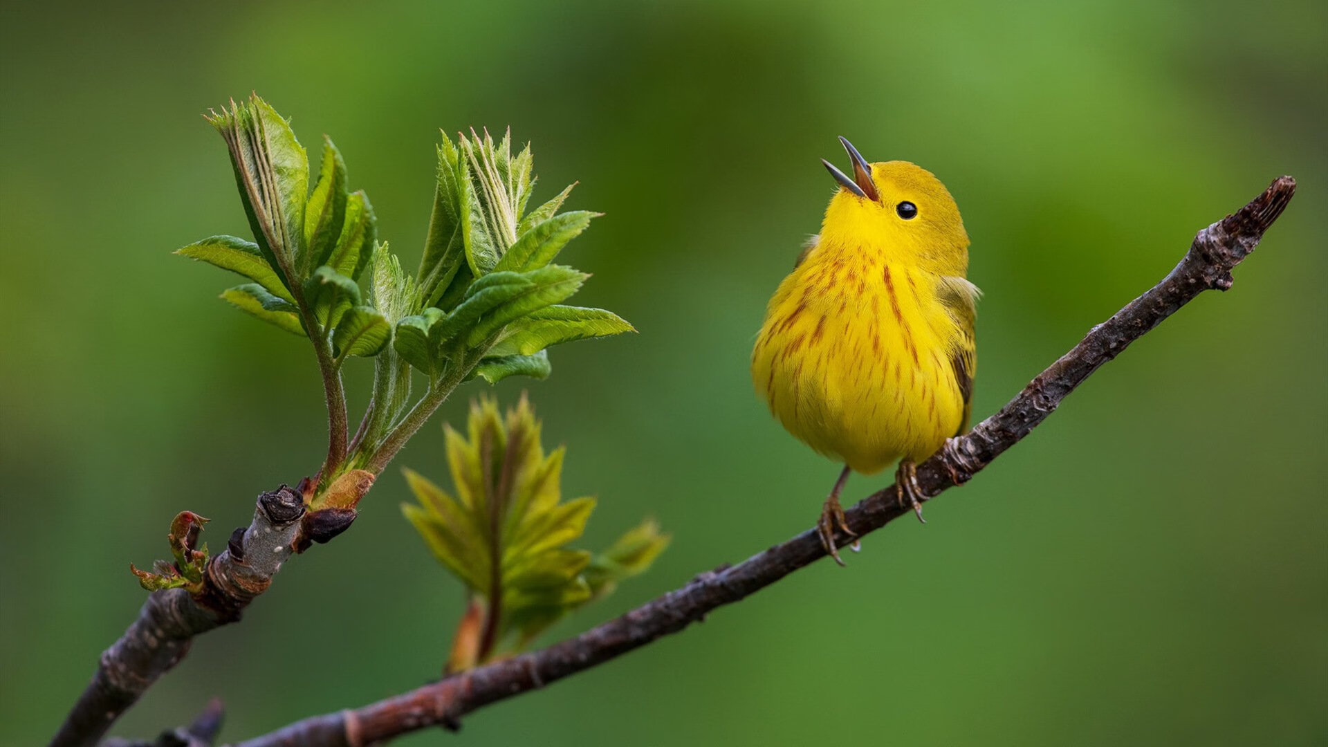 校园体育设施数字化管理系统设计与实践,体育数字化建设