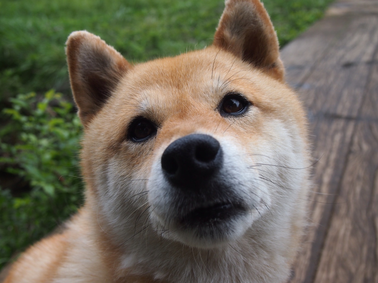 西甲球队热区分析调整防守布局策略,西甲热度