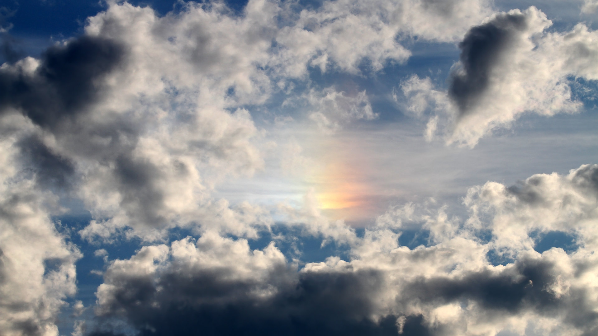 CBA球队注重未来人才培养，cba球队价值