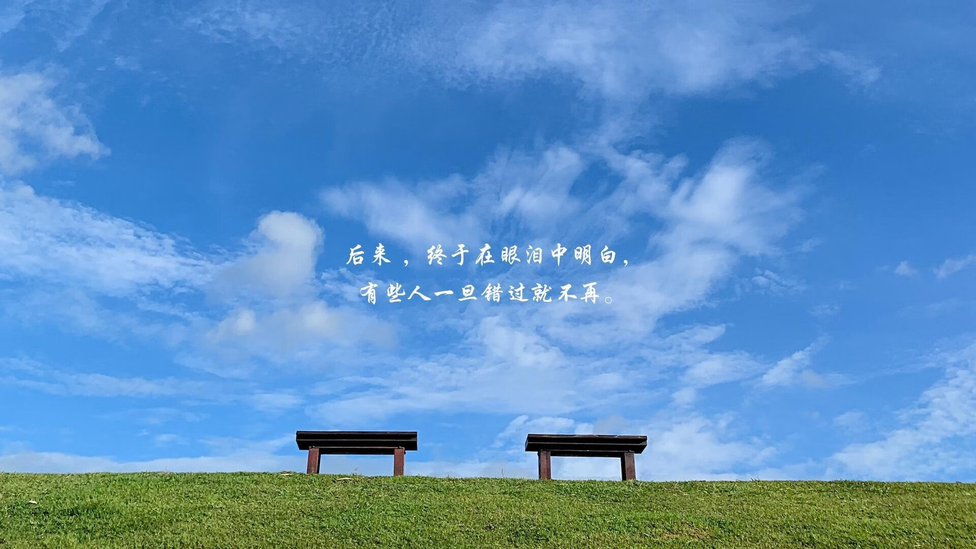 “新都兴城垒球赛：选手全力拼搏，谁将捧起金牌？”