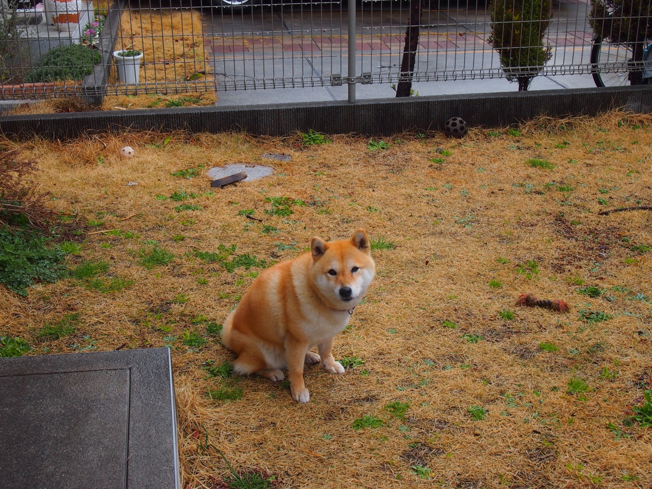 中国三人篮球男队场上表现日益成熟,中国三人篮球队名单