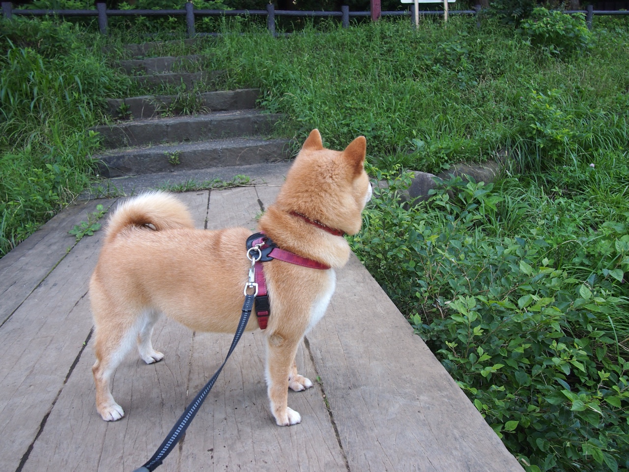 体育新闻中心联合高校开展体育内容创新创业大赛,全国体育院校大学生体育产业创新创业策划大赛