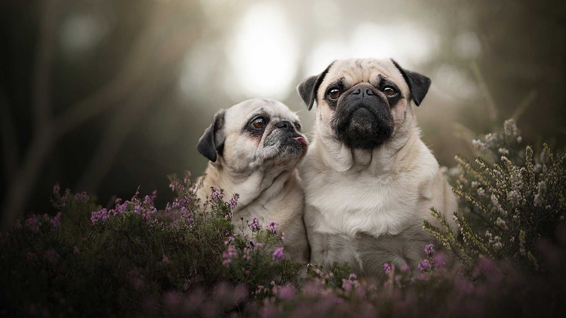 世界杯战火激烈:逆转奇迹惊天地泣鬼神!,世界杯惊天大逆转