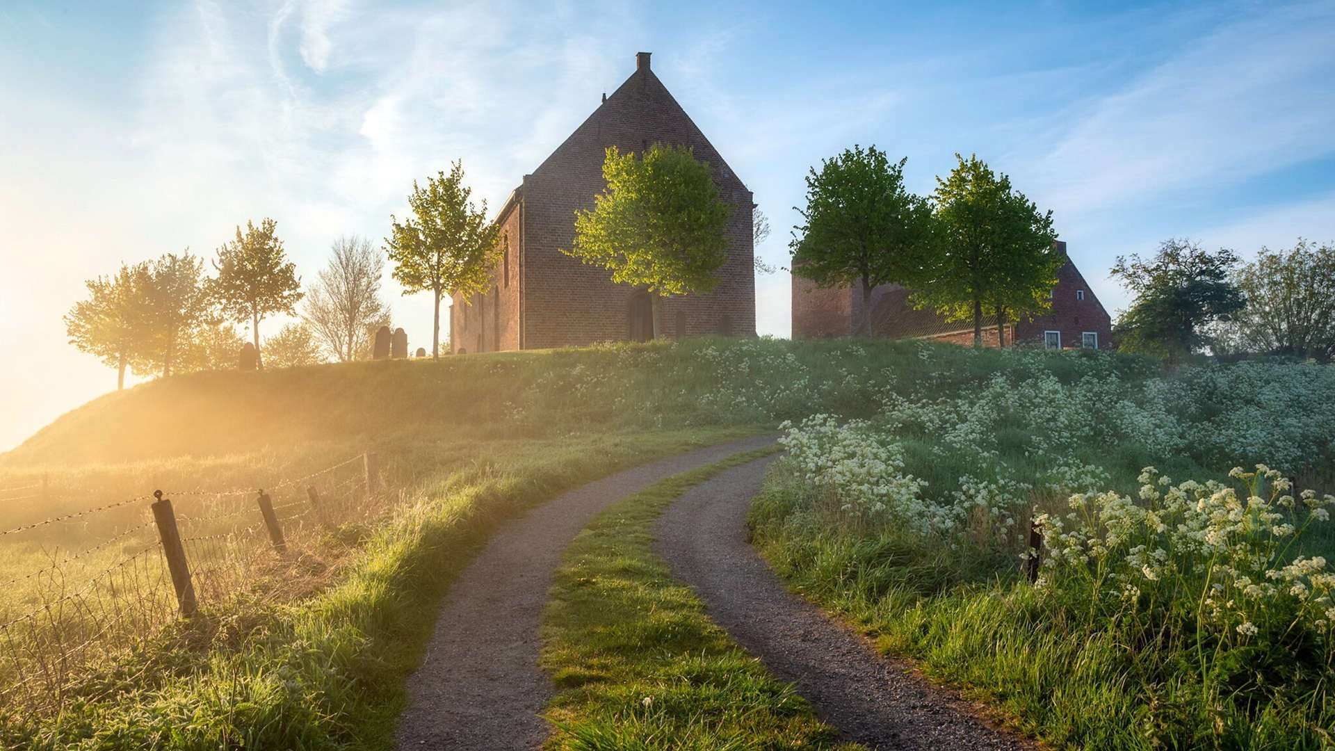 乔·波尔曼：袋鼠队核心球员，展现强大攻防实力，乔治袋鼠皮鞋怎么样