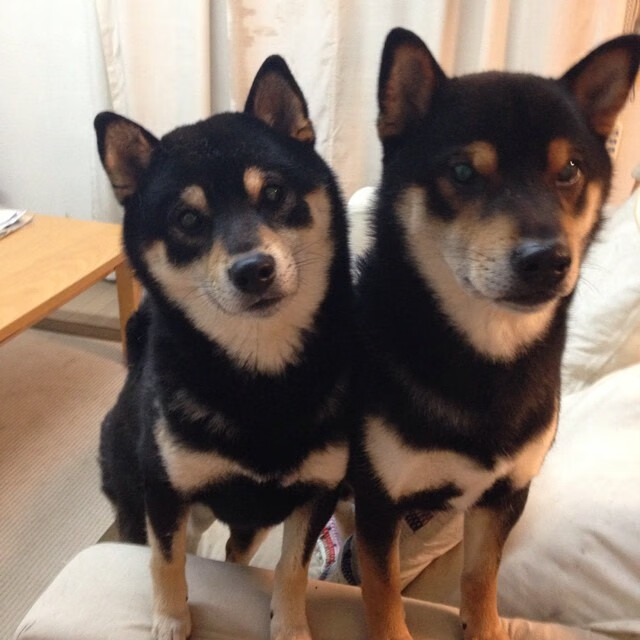 恩多耶-布鲁阿尔用坚持和努力书写辉煌,恩布利欧百度百科