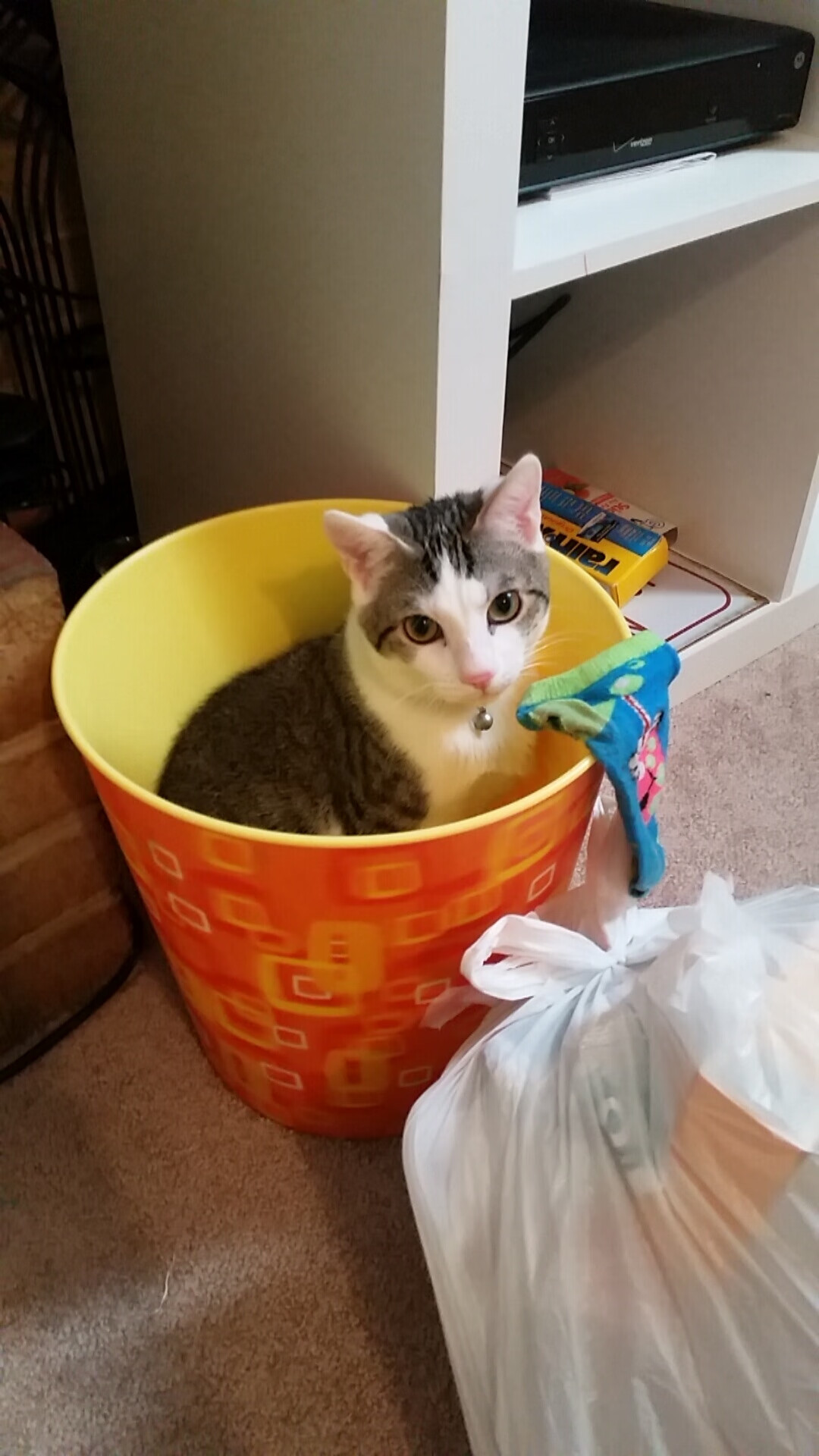 乐鱼体育平台app下载-法甲联赛的明星球员影响力，法甲现役十大球星