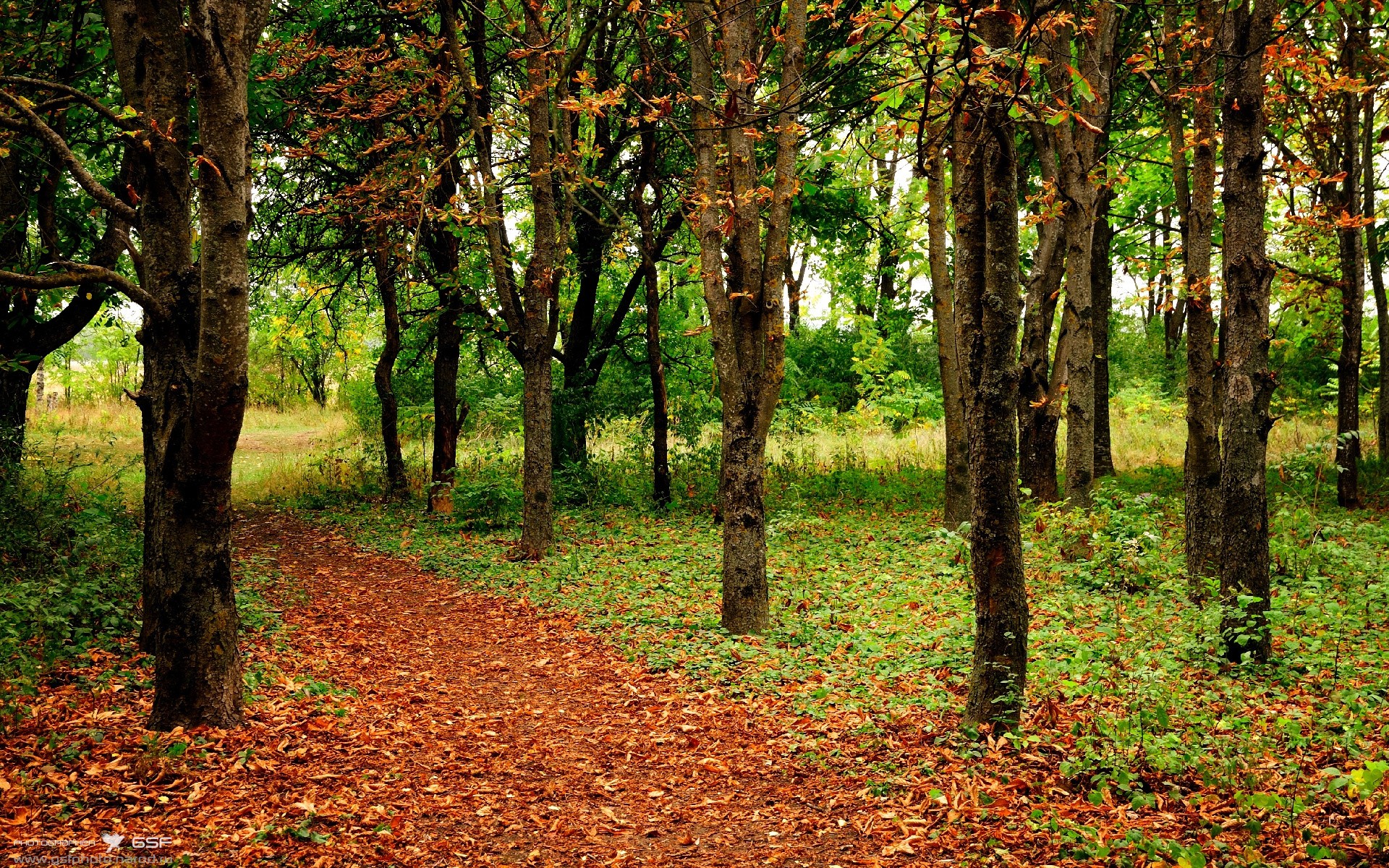 职业联赛推动运动康复中心落地多地俱乐部，运动康复协会