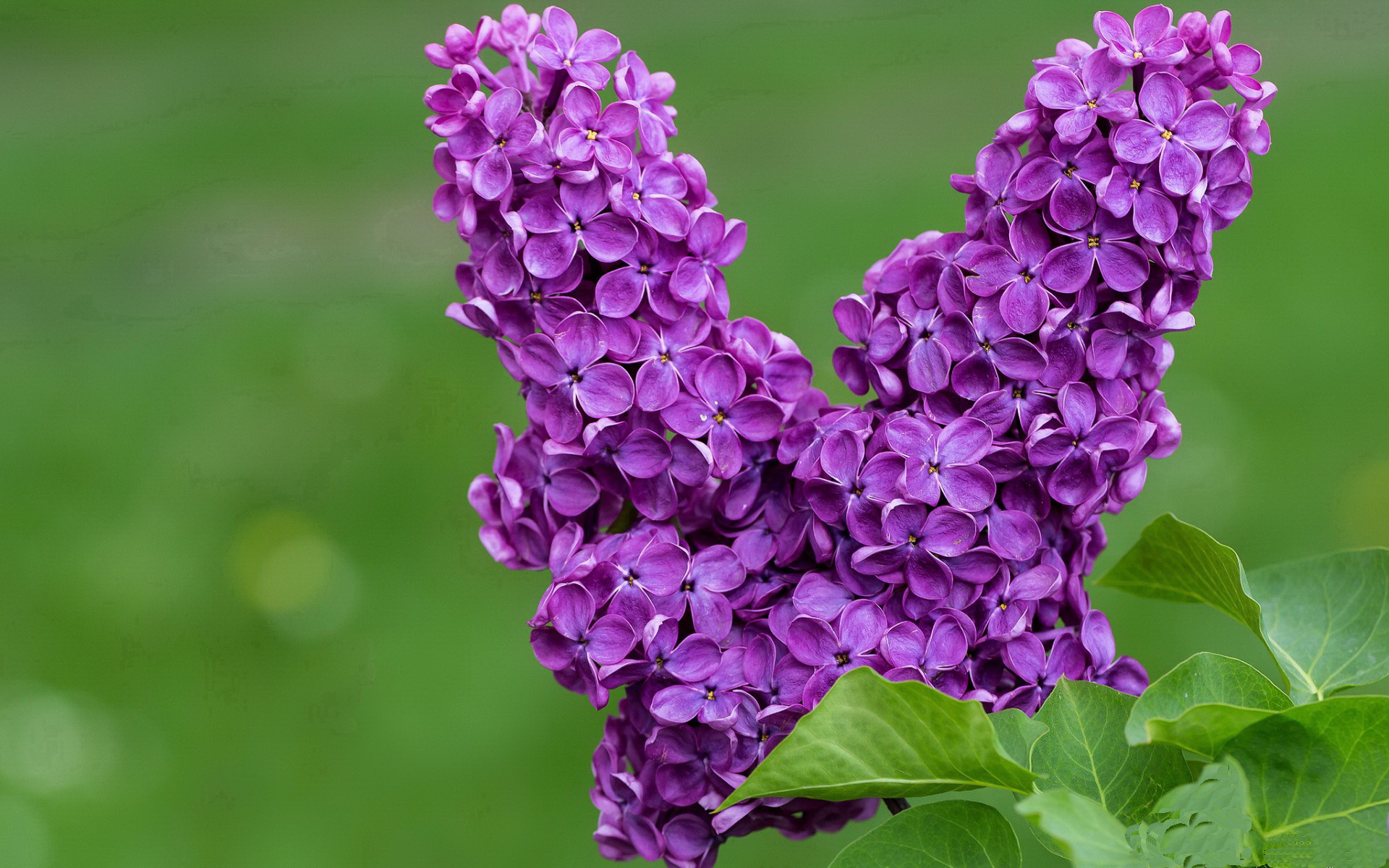 乐鱼官方登录入口-裁判执法尺度保持一致全场控场能力强比赛整体节奏流畅自然，裁判员执法