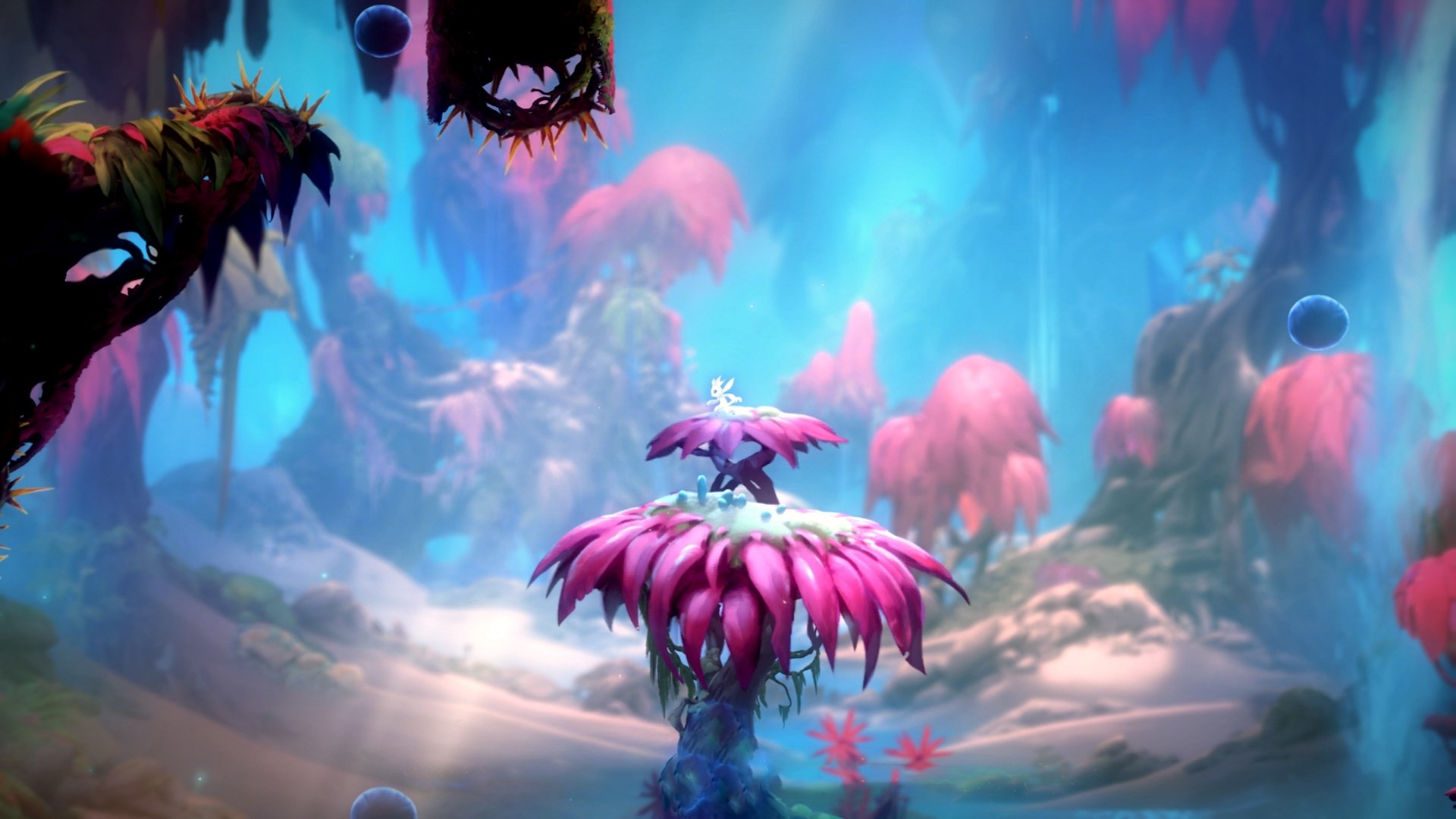 韩国水球攻防转换高效,anti水球球门